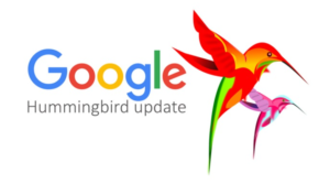 Google Hummingbird Update